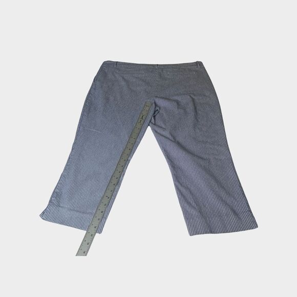 Hilary Radley Blue and White Striped Capris - Picture 8 of 8